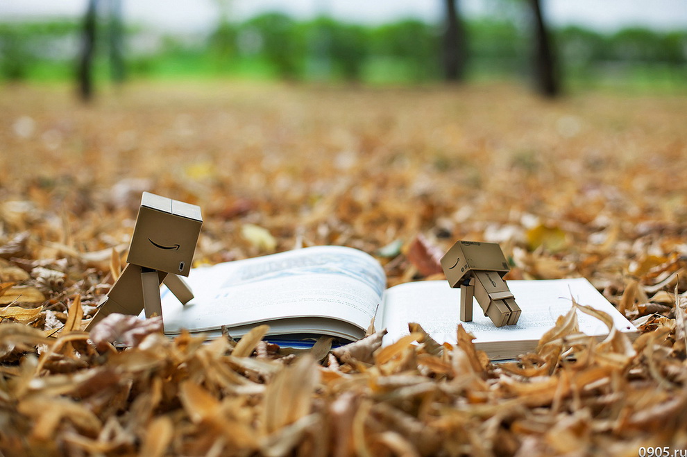 Приключения картонного человечка Danbo Приключения картонного человечка Danbo