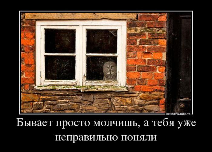 Демотиваторы