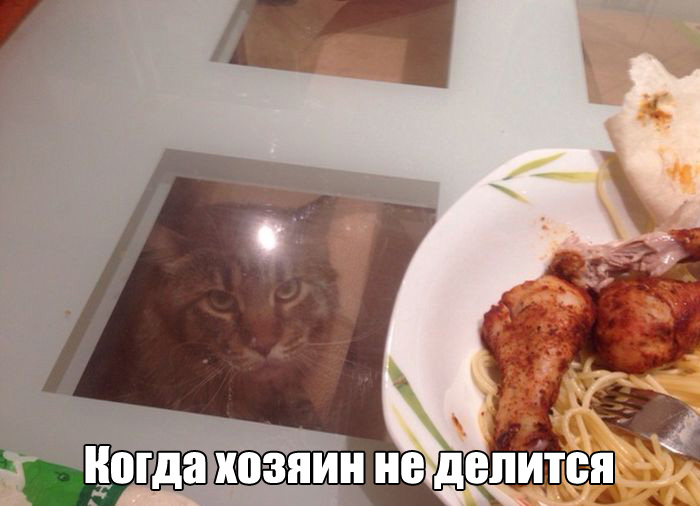 Порция картинок