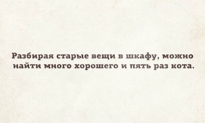 Порция картинок