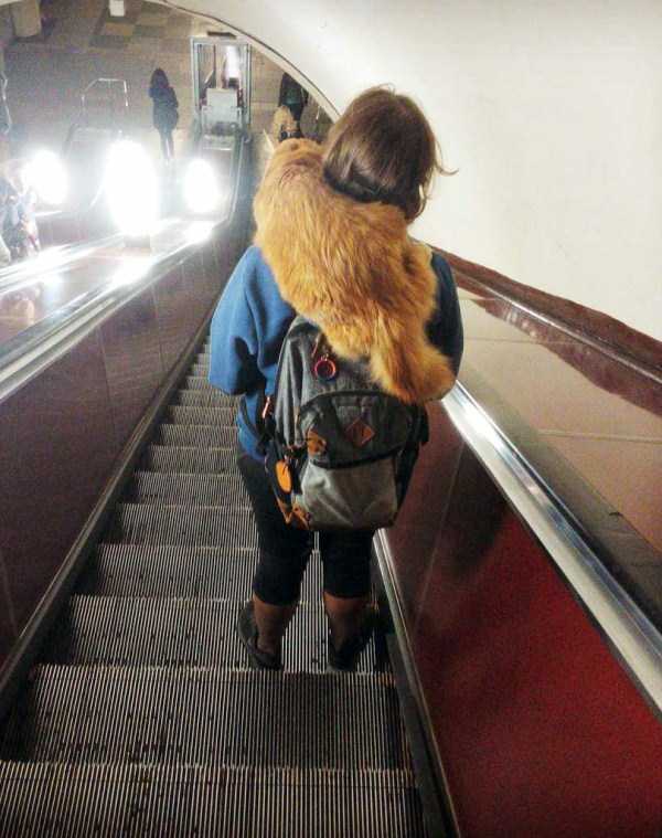 Модники из российского метрополитена