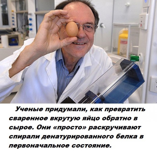 Коллекция бесполезных фактов обо всем на свете