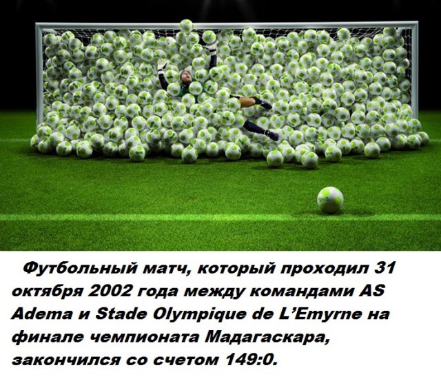 Коллекция бесполезных фактов обо всем на свете