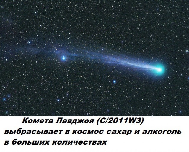 Коллекция бесполезных фактов обо всем на свете