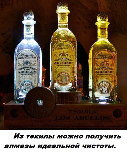 Коллекция бесполезных фактов обо всем на свете