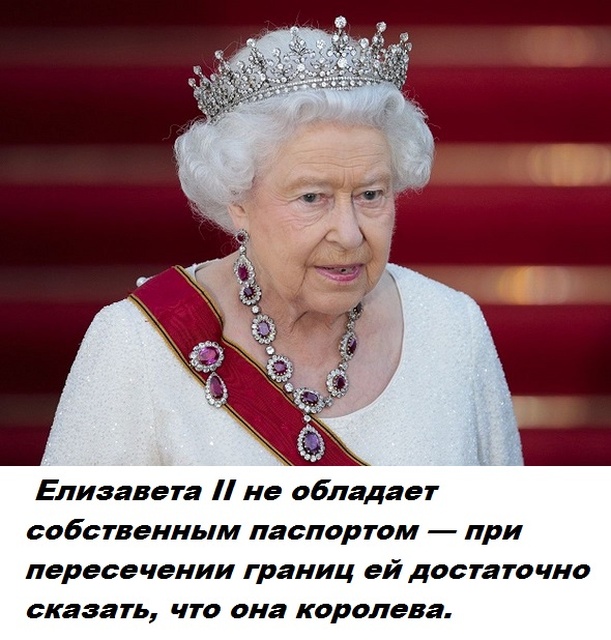 Коллекция бесполезных фактов обо всем на свете