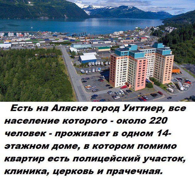 Коллекция бесполезных фактов обо всем на свете