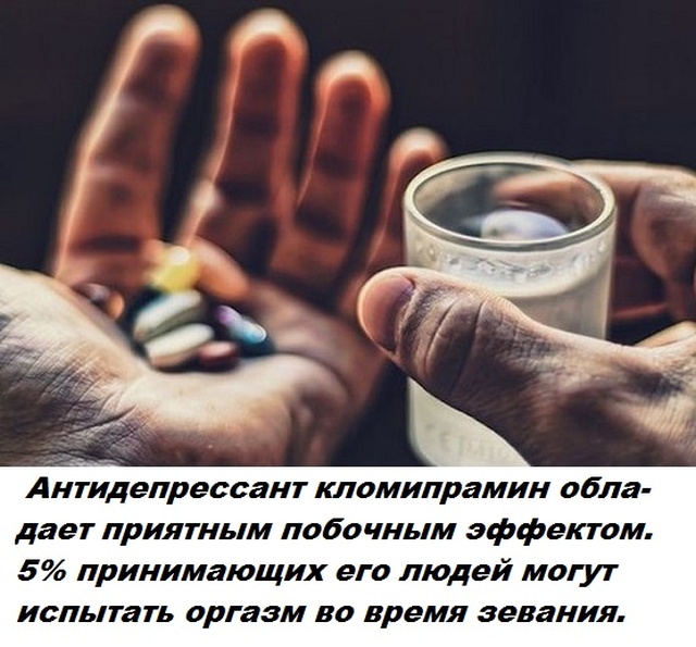 Коллекция бесполезных фактов обо всем на свете