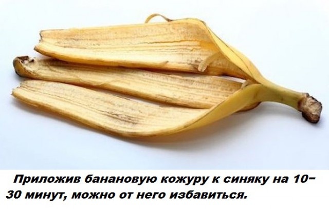 Коллекция бесполезных фактов обо всем на свете