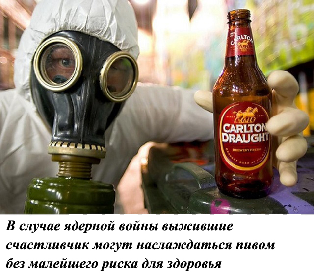 Коллекция бесполезных фактов обо всем на свете