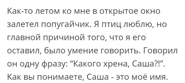 Люди говорят в социальных сетях
