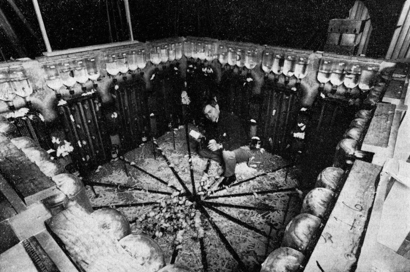Эксперимент «Вселенная-25» Эксперимент «Вселенная-25»