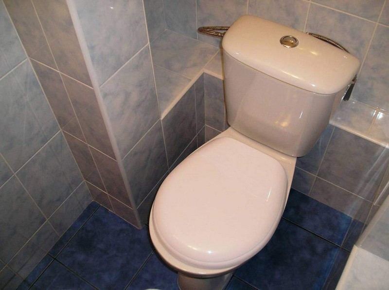 Функции тела, которые продолжают работать после смерти