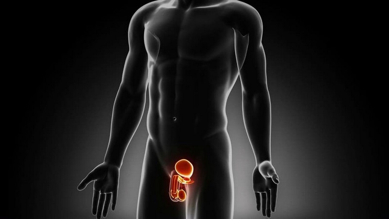 Функции тела, которые продолжают работать после смерти