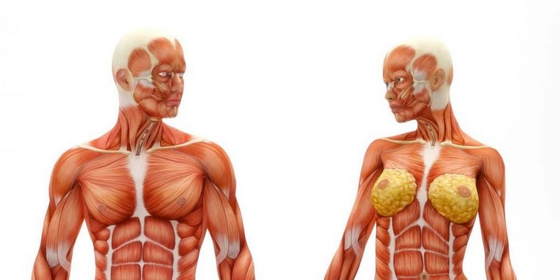 Функции тела, которые продолжают работать после смерти