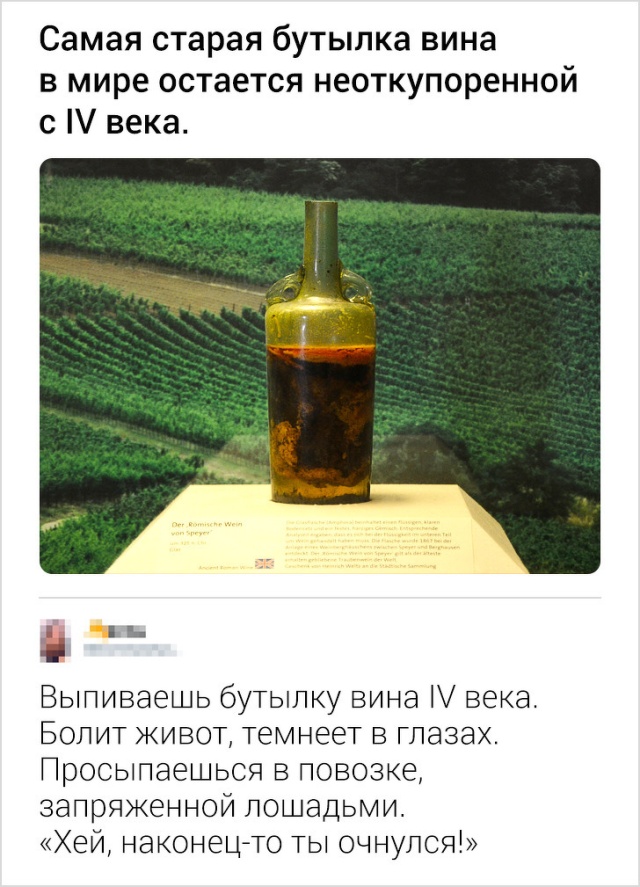 Язвительные комментарии из социальных сетей