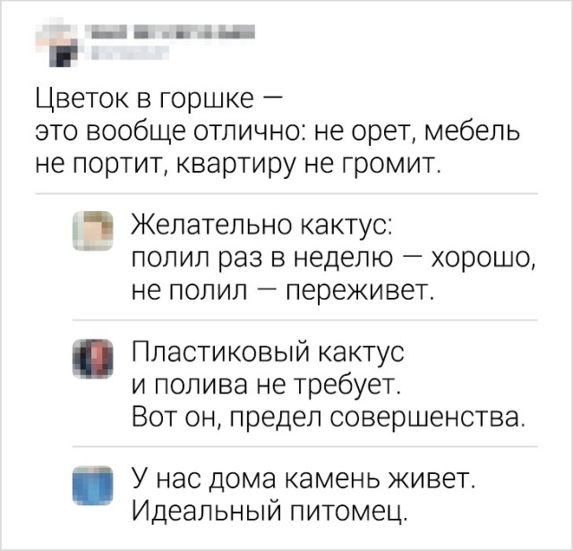 Язвительные комментарии из социальных сетей