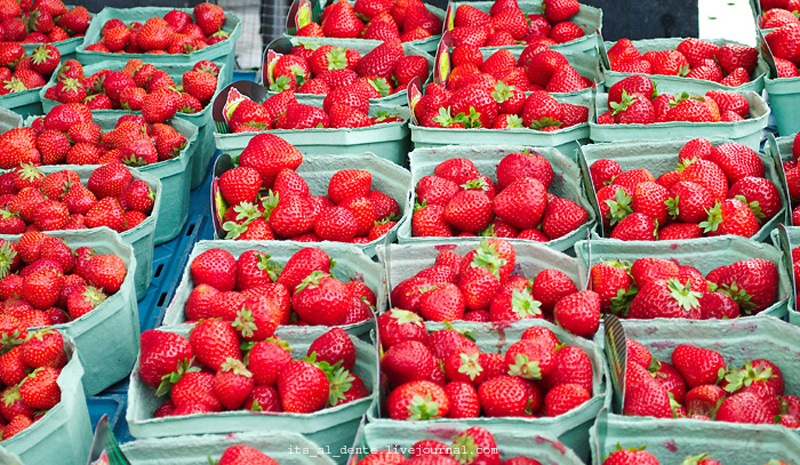 Что нужно попробовать в Амстердаме?