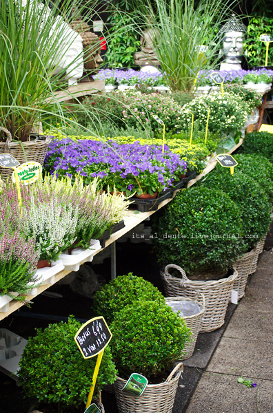 Что нужно попробовать в Амстердаме?