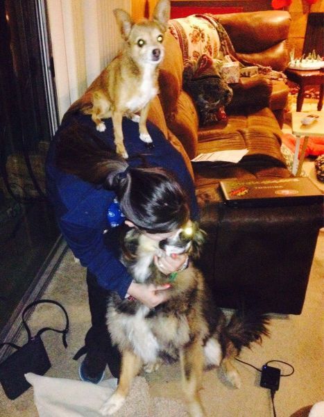 Прикольные картинки