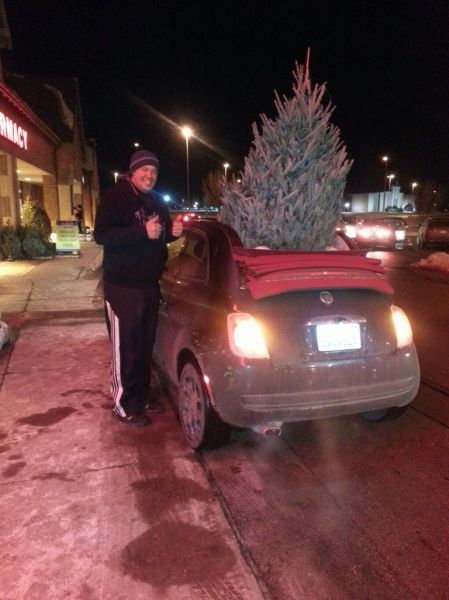 Прикольные картинки