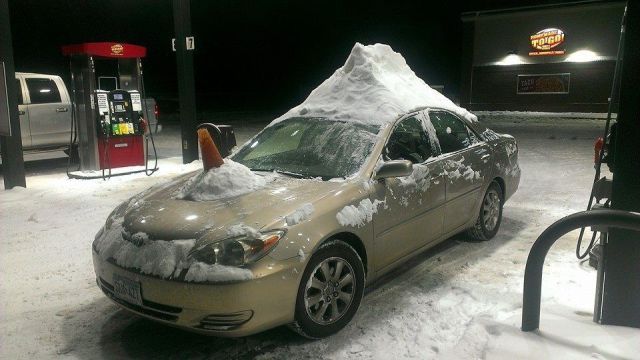 Прикольные картинки