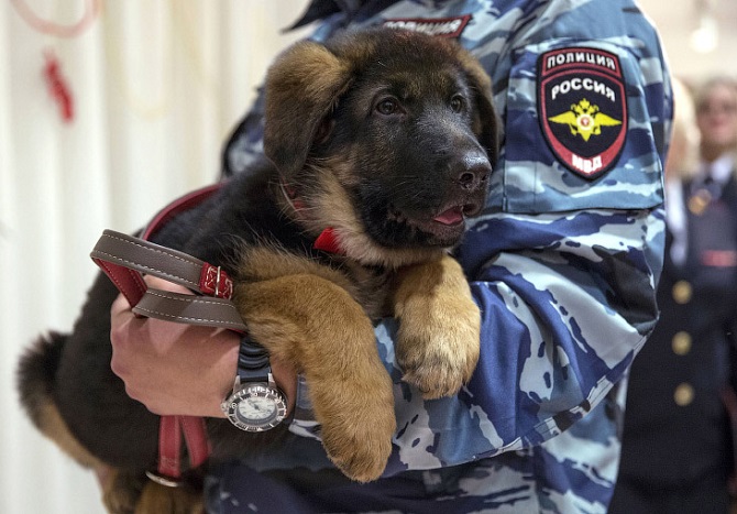 Добрые фотографии 2015