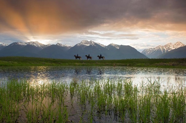National Geographic выбрал лучшие фото 2015 года National Geographic выбрал лучшие фото 2015 года
