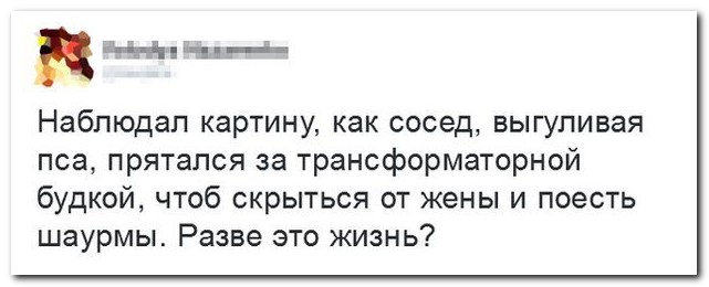 Смешные комментарии из социальных сетей