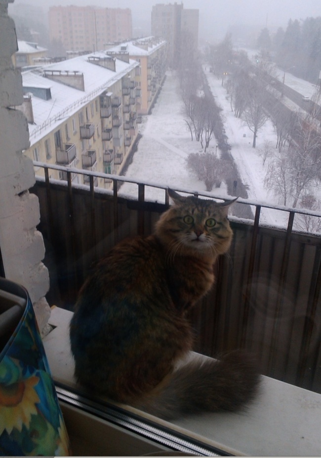 Если все еще считаете, что плохо переносите зиму, просто посмотрите эти 27 фото