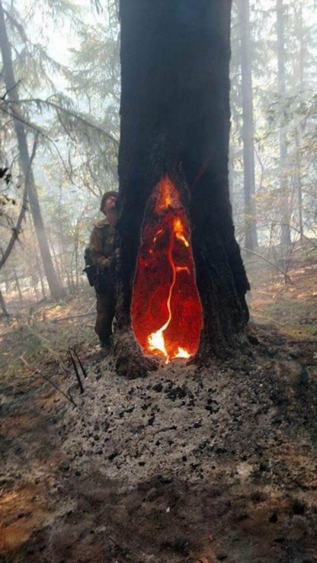 25 фотографий, которые показывают, что в этом мире может быть все что угодно 25 фотографий, которые показывают, что в этом мире может быть все что угодно