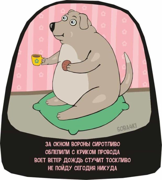 Забавные комиксы и стишки-пирожки о нашей жизни