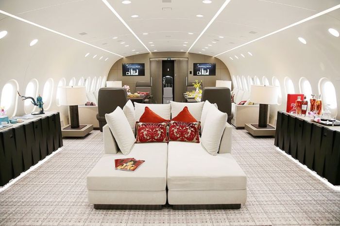 Boeing 787-8 Dreamliner компании Deer Jet - один из самых роскошных самолетов в мире