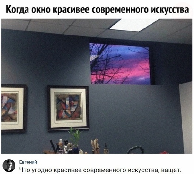 Высказывания и комментарии из социальных сетей