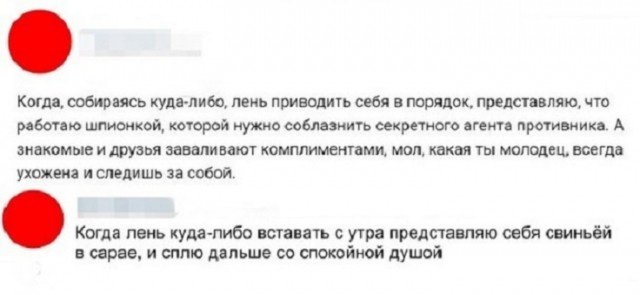 Высказывания и комментарии из социальных сетей