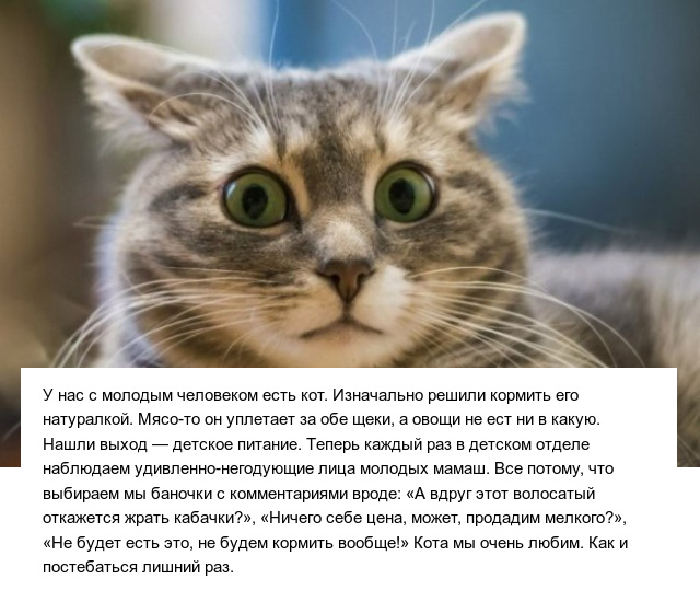 Правдивые истории людей, которые попали в нелепые ситуации