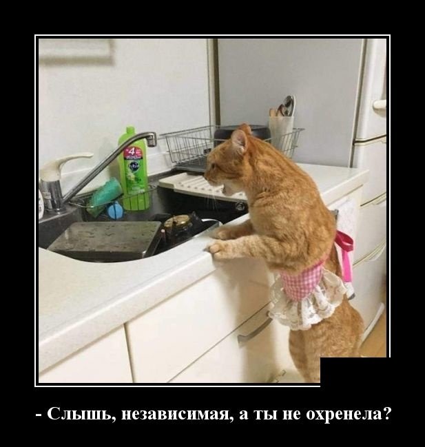 Демотиваторы