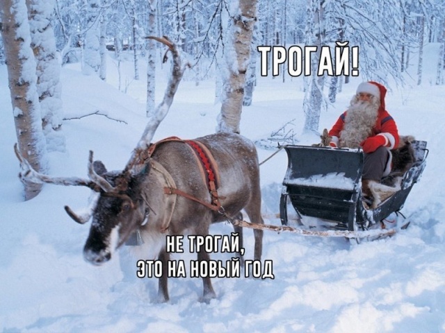 Прикольные картинки