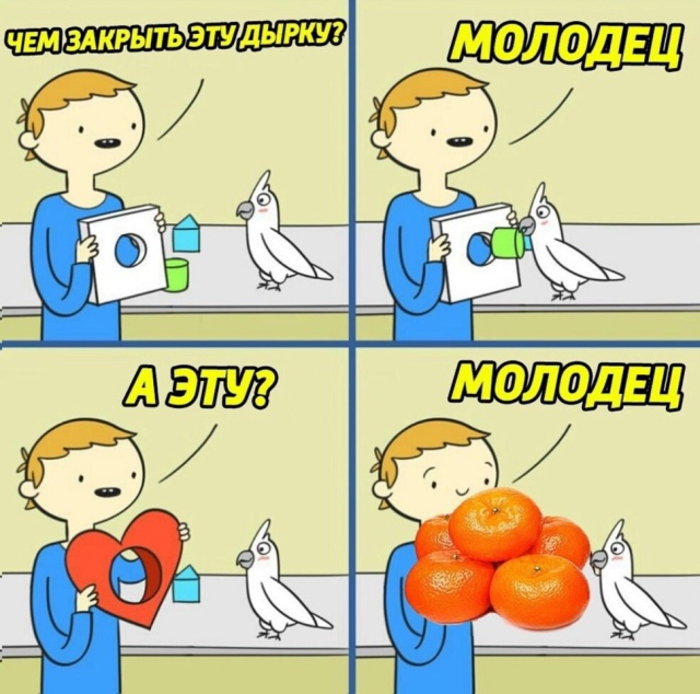 Прикольные картинки
