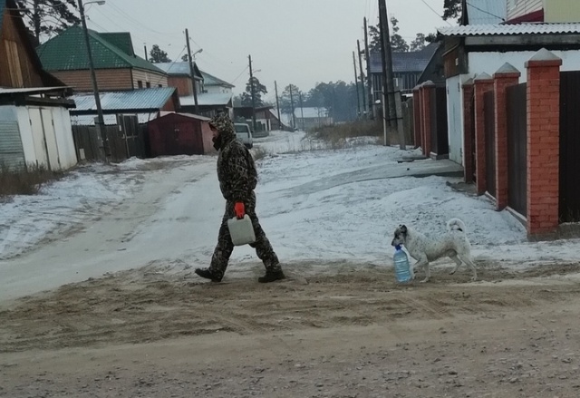 Прикольные картинки