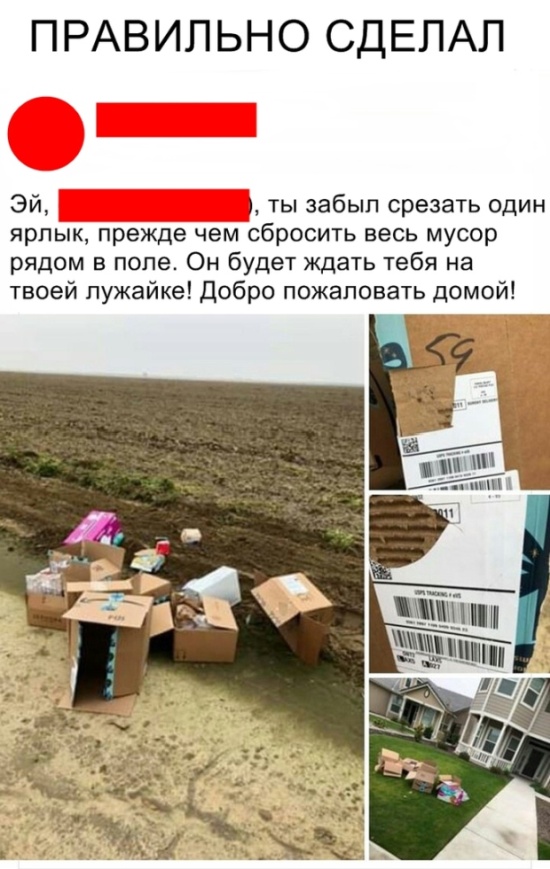 Прикольные картинки