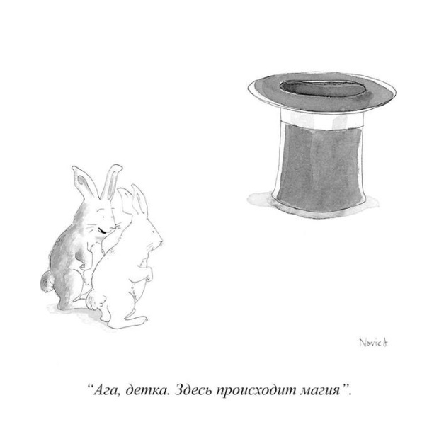 Прикольные картинки