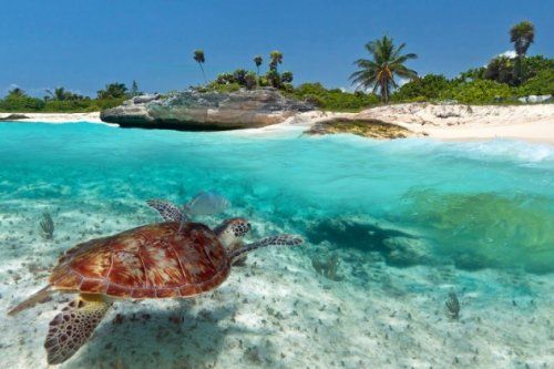 Истории выживших в море (10 фото)