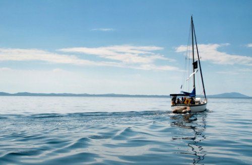 Истории выживших в море (10 фото)