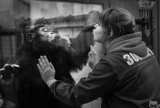 Победители фотоконкурса «Best of Russia»