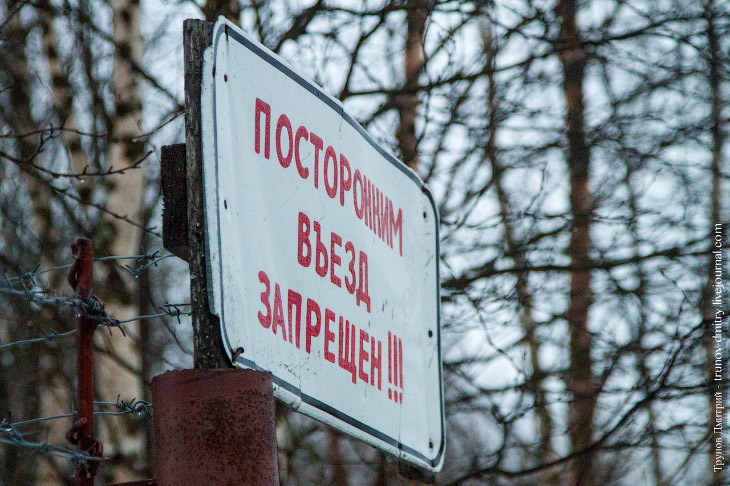 Как выращивают семгу Как выращивают семгу