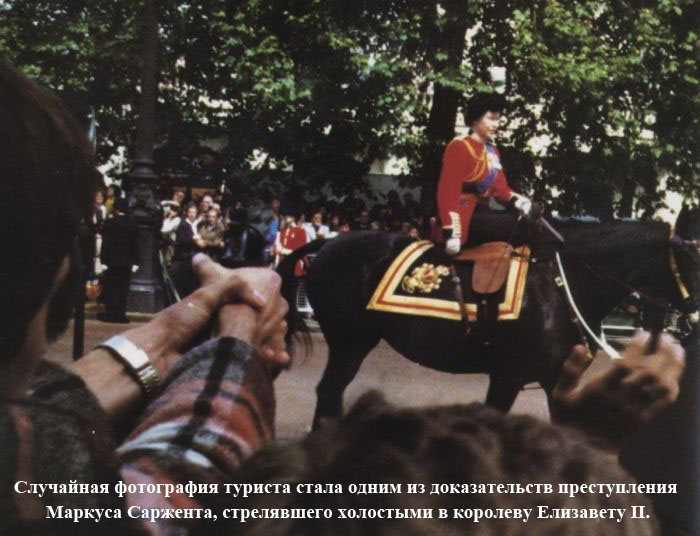 Порция картинок
