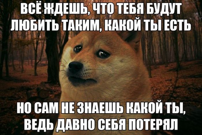 Порция картинок