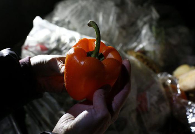 Мусор подан, извольте кушать Мусор подан, извольте кушать