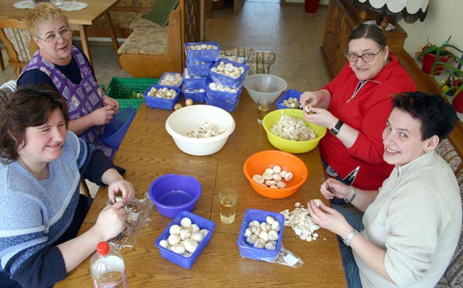 Мусор подан, извольте кушать Мусор подан, извольте кушать